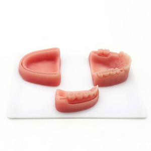 Modelo de Simulación de Entrenamiento Quirúrgico Dental, Almohadilla de Sutura Dental con Dientes, Kit de Sutura Dental Médico de Alta Calidad - Product Image 1
