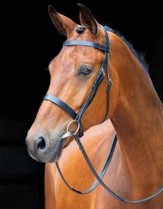 Bridle หนังแท้ คุณภาพสูง 2019 หนังม้า Bridle คุณภาพสูงหนังม้า Snaffle Bridle - Product Image 4