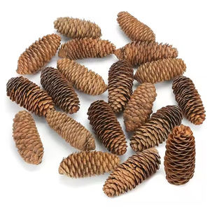 Suministro de fábrica, mejor precio, conos de pino decorativos, tela de flores secas con cono de pino, Papá Noel eléctrico - Product Image 4