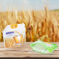 Pochettes souples transparentes personnalisées de 500 ml à 5 L avec bec verseur en aluminium, pour bière et boissons, étanches et recyclables