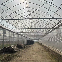 Serre commerciale à grande portée en film plastique avec structure en acier galvanisé stabilisé aux UV pour la culture de légumes et de fleurs