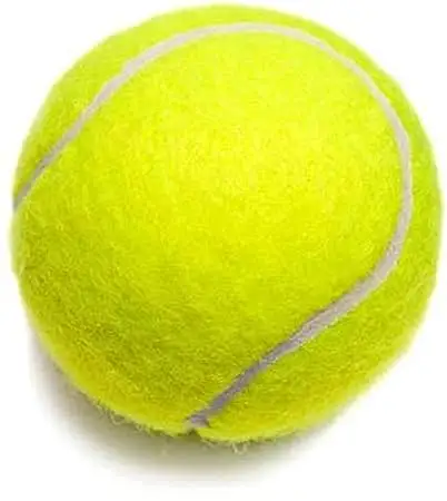 Hot Top Qualité Logo Personnalisé Pratique Match Formation Intérieur Extérieur Chien Jouer Aux Balles En Caoutchouc léger Cricket Balle De Tennis