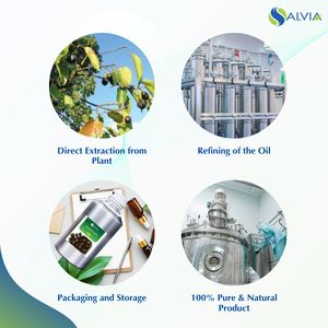 Sugandha Kokila Huile Huile 100% Pure et Naturelle En Gros En Vrac Prix Le Plus Bas Emballage Personnalisé - Product Image 4