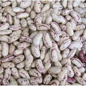 ถั่วไตออร์แกนิกขายดี สีแดง ดำ ม่วง ลายจุด ยี่ห้อ CREKS บรรจุ 25 กก. ในถุงบรรจุภัณฑ์เกรดอาหาร อายุการเก็บรักษา 2 ปี - Product Image 1