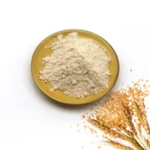 กลูเตนจากข้าวสาลีที่สำคัญสำหรับ Seitan - Product Image 4