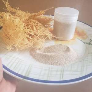 EL MEJOR PRECIO DE POLVO DE CARRAGEENAN DE ALTA CALIDAD HECHO EN VIETNAM - Product Image 2