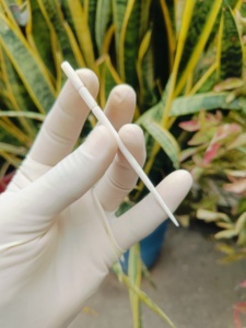 Handmade Natural Buffalo Horn Buffalo Bone Cow Horn Kohl <b>Stick</b> Set Traditional Eye Applicator for <b>Smooth</b> and Precise Makeup - Product Image 3