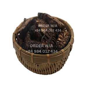 FRUITS NONI SÉCHÉS PUR NATUREL PREMIUM QUALITÉ MEILLEUR PRIX - Product Image 2