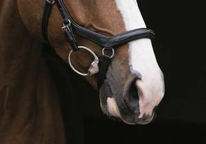 RAMBO MICKLEM Pinces à bride de rechange Produits de cheval multifonctionnels - Product Image 5