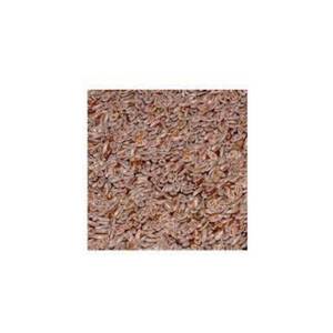 Extracto de hierbas en polvo de cáscara de semilla de psyllium Natural 100% de alta calidad - Product Image 2
