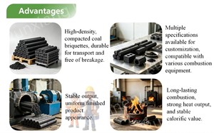 Équipement de pressage de briquettes de charbon de coco à haute dureté et à haute efficacité énergétique, directement de l'usine - Product Image 6