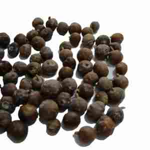 Natural organic juniper berries bulk supply new season premium quality wholesale dried juniper berries private label packaging - Product Image 4