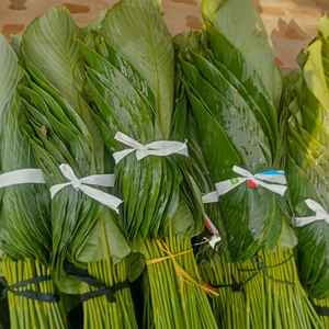 Feuilles de bananier surgelées IQF standard pour l'emballage alimentaire et la cuisine, prix bas, 100% feuilles de bananier vertes fraîches - Product Image 5