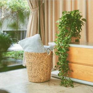 Set of 3 Storage <b>Basket</b> Woven Water Hyacinth <b>Blanket</b> <b>Baskets</b> with Handles Round Natural Nesting Storage Bins for Your Home Decor - Product Image 6