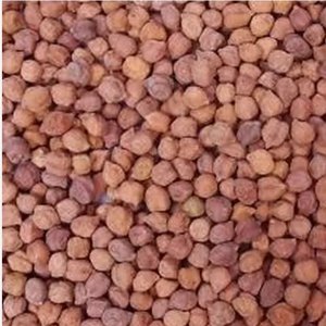 ถั่วชิกพีแห้งสำหรับการส่งออกและนำเข้าผลิตภัณฑ์สมุนไพรและเมล็ดเครื่องเทศ - Product Image 2