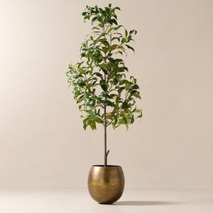 Maceta decorativa de metal de diseño atemporal que combina a la perfección con estilos de decoración del hogar clásicos o contemporáneos para una vegetación elegante - Product Image 1