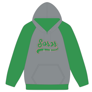 Sweat à capuche à manches raglan gris acier 08 Sororité grecque pour femmes Rose et vert Sororité universitaire Sweat à capuche élégant décontracté Vêtements - Product Image 5