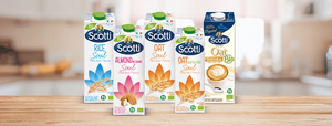 Boisson à l'avoine Scotti Soul Bio 1L, riche en fibres, à base de plantes, végétalienne, idéale pour une alimentation saine, sans sucre ajouté, fabriquée en Italie - Product Image 5