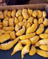 Natuurlijke Bevroren Durian Vietnam Schoon Verwerkt Premium Fruit Betrouwbare Exportleverancier