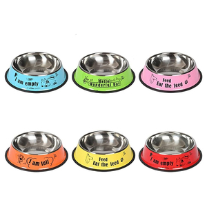 Grande Ciotola Ecologica in Acciaio Inox per Animali Domestici, Set Automatico 2-in-1 con Cucchiaio e Bottiglia, Pratico Set per l'Alimentazione in Confezione Box - Product Image 2