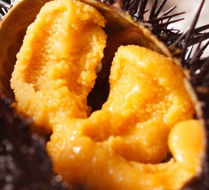 Huevas de Erizo de Mar Morado del Norte Congeladas Originales Altamente Recomendadas, Murasaki Uni, Refrigerios Saludables con Sabor Afrutado y Textura Semi-Suave - Product Image 1