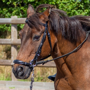Estribos de Equitación Ingleses de Cuero de Alta Calidad con Logotipo Personalizado, Cómodos para Doma y Carreras, Estribos Occidentales Negros y Marrones para Caballos - Product Image 2
