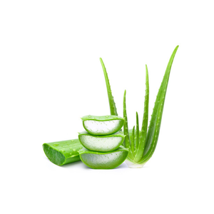 Kanha Nature Oils Fabricant de gel d'aloe vera de qualité supérieure Huiles essentielles naturelles et extraits de plantes Achat en gros en vrac - Product Image 3