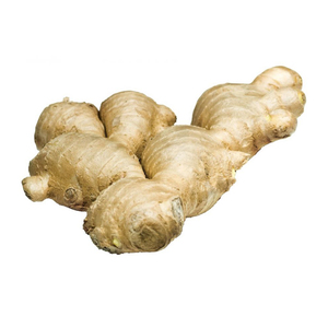 <b>Fresh</b> <b>ginger</b> available for bulk export with consistent size and rich aroma - Product Image 5