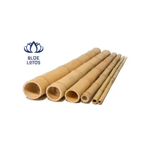 Bamboo Poles Nature Raw Bamboo Poles Straight Pole Bamboo From Planted Forest Viet Nam