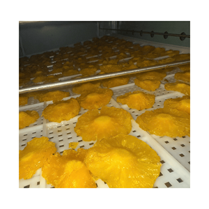 น้ำเชื่อมข้อมูล99โกลด์ขนมสับปะรดหั่นบางๆที่เก็บรักษาไว้แพ็คสุญญากาศรสหวานและเปรี้ยวสำหรับของหวานและขนมอบส่งออกจากเวียดนาม - Product Image 5