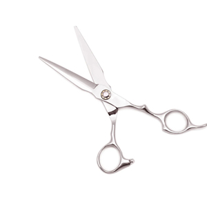 กรรไกรตัดผมสแตนเลสแบบสวยสำหรับร้านเสริมสวยและใช้ในบ้าน - Product Image 1