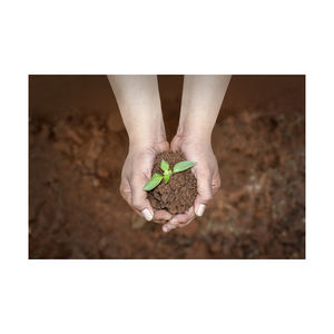 Distribuidor mayorista de turba que ofrece entrega rápida en todo el mundo - Product Image 5