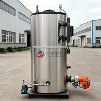 Chaudière verticale à vapeur Yinyu LHS pour l'industrie laitière et la pasteurisation (gaz et mazout)