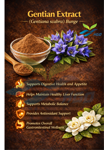 Suministro Directo de Fábrica de Extracto de Genciana, Extracto Estandarizado de Gentiopicroside 3% - 98% de Grado Alimenticio - Product Image 5