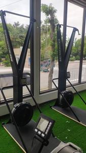 YL-AS004ホット販売ジム機器フィットネス商用スキーマシンとスキーErg - Product Image 6