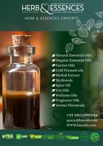 Extracto de cáscara de fruta de aceite esencial de mandarina Sicilia con aroma limpio fresco dulce brillante para el cuidado del cabello perfumería Uso de aromaterapia - Product Image 2