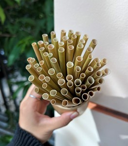 Pajitas de hierba ecológicas al por mayor, embalaje personalizado de alta calidad/pajitas de hierba desechables individuales sostenibles de Vietnam - Product Image 5