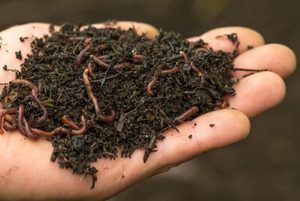 ปุ๋ย NPK แบบเม็ดปุ๋ยอินทรีย์,ใช้สำหรับการเกษตร - Product Image 5