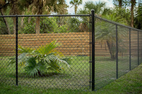 Malla de Alambre Galvanizado para Cercas, con Recubrimiento de PVC Negro, 6 pies, Malla Metálica para Jardín, Malla de Alambre Ciclón, Precio de Malla de Diamante