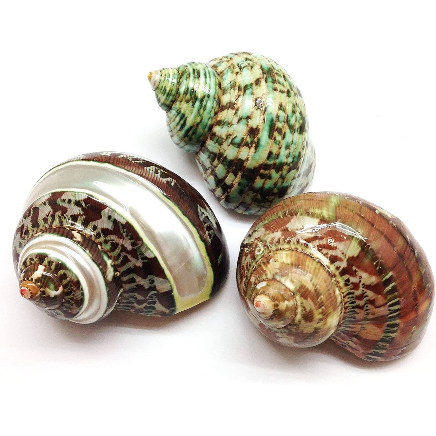 ธรรมชาติ