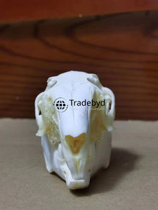 Figura Decorativa Artística de Resina con Forma de Animal, Hecha a Mano, de Primera Calidad, para Interiores Modernos, de Tradebyd - Product Image 2