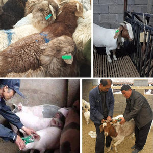 Protecteur d'équitation réglable pince à étiquettes d'oreille applicateur de pistolet de marquage d'oreille d'animal d'élevage pour mouton chèvre cochon bottes pattes griffes - Product Image 5