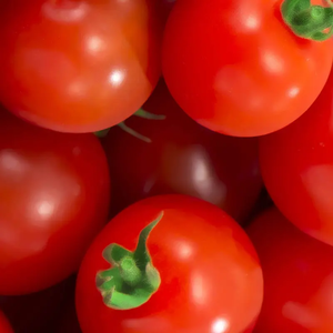 Tomates enlatados de alta calidad para cocinar, listos para comer, pelados, picados o en cubitos, opciones disponibles para exportación a granel en todo el mundo - Product Image 2