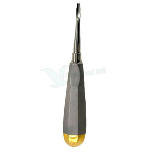 Hot Sale <b>Elevator</b> Root Oral Surgery Dental Instruments Stainless High-Quality Dental <b>Elevator</b> - Product Image 2