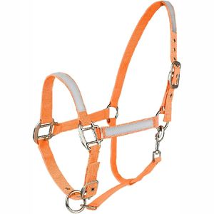 Nouveau 2025 dernier style cheval licou en gros équitation licou avec logo et taille personnalisés - Product Image 2