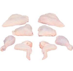 Colas de Pollo Congeladas Premium – Proveedor Mayorista de Exportación - Product Image 3