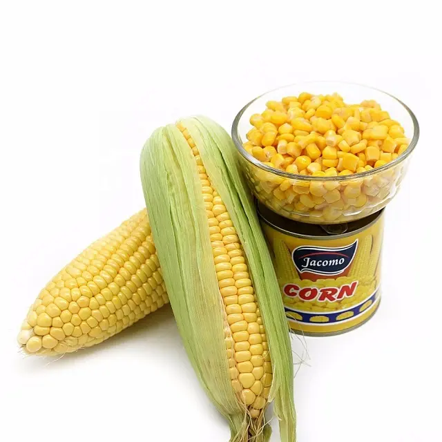 Animal Feed Yellow Maize / Corn Animal Feed dried corns for human food Wholesale available