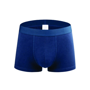 Sous-vêtements pour hommes, slips respirants sexy à taille mi-haute, boxer en nylon de haute qualité, logo personnalisé, marques classiques en élasthanne - Product Image 1