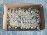 Groothandel 290ml glazen fles Tan Do merk/OEM geaccepteerd concurrerende prijs natuurlijke basilicumzaad puree watermeloen smaak HACCP