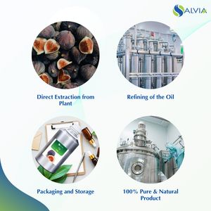 Huile d'huile de figue 100% pur et naturel en gros en vrac prix le plus bas emballage personnalisé - Product Image 4